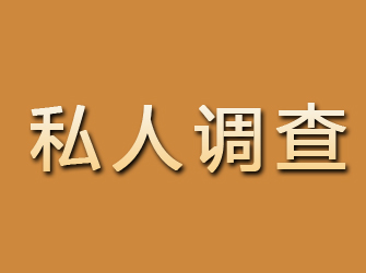 临川私人调查